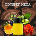 ODYSSEY MEGA - Imagen 2
