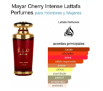 Mayar Lattafa - Imagen 4