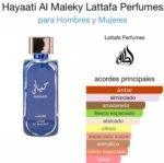 Hayaati al Maleky - Imagen 3
