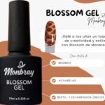 Blossom Gel MONBRAY 10ML